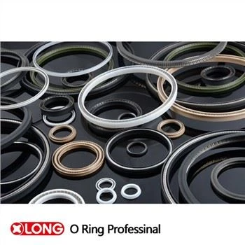 উচ্চ মানের PTFE বসন্ত শক্তিযুক্ত পাম্প সীল