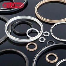 কার্বন ফাইবার স্প্রিং Energized সীল সঙ্গে PTFE