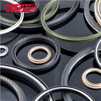পেট্রোলিয়াম সরঞ্জাম টেফলন স্প্রিং এনার্জিযুক্ত সিল al